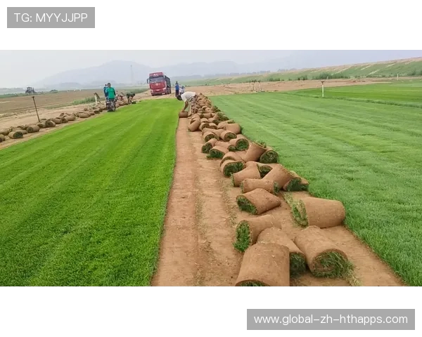 草地保养技术升级，比赛场地质量显著提高，草地养护有几个重要环节