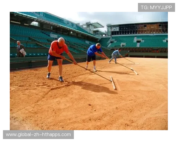 网球红土场对抗中滑步动作对踝关节负荷的专项保护
